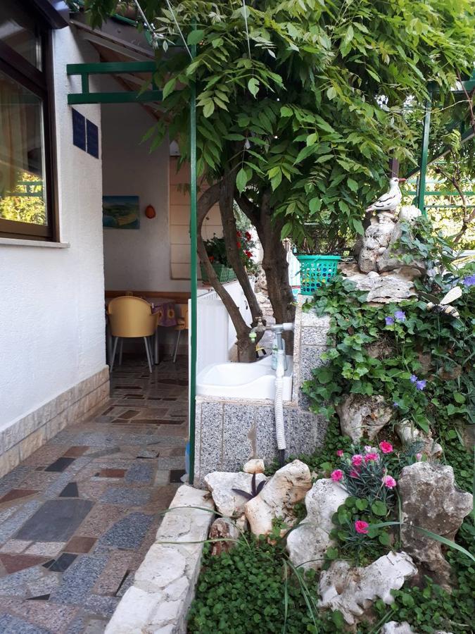 Apartments Anic Novigrad  Exterior photo