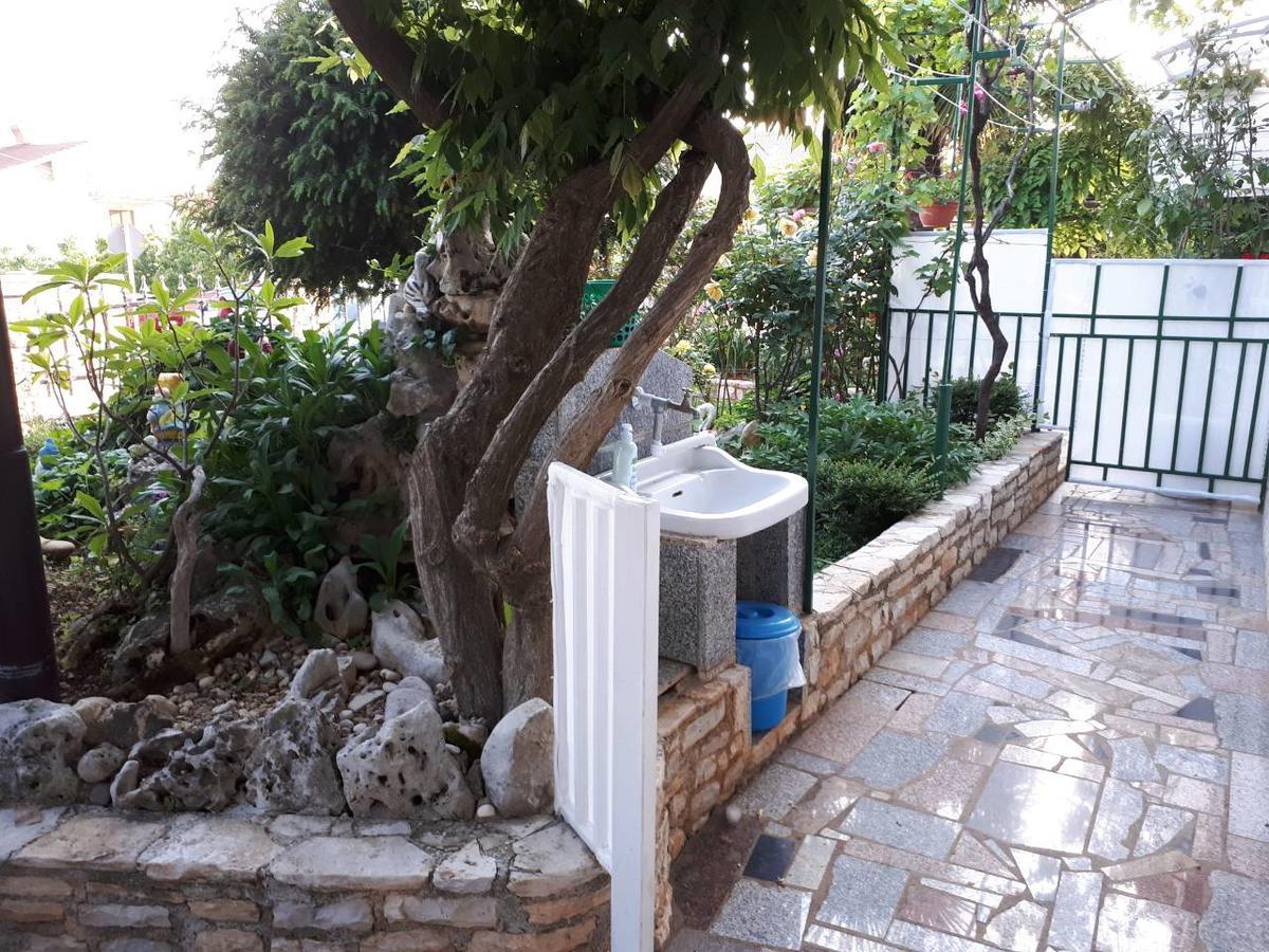 Apartments Anic Novigrad  Exterior photo